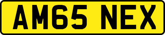 AM65NEX