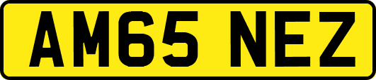 AM65NEZ