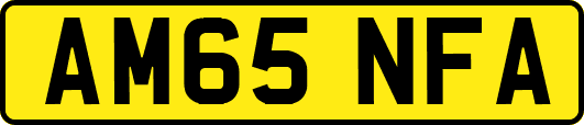 AM65NFA