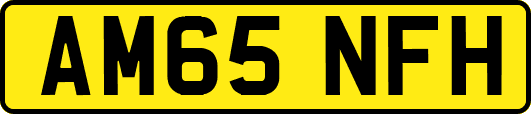 AM65NFH
