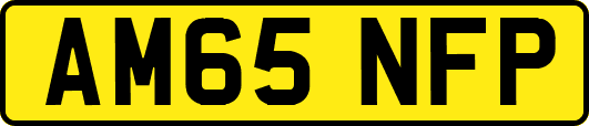 AM65NFP