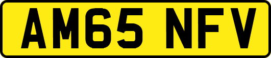 AM65NFV