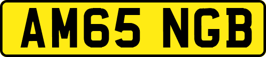 AM65NGB