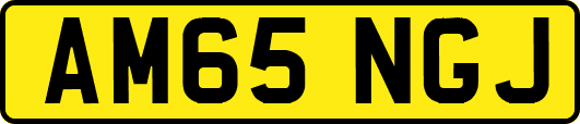 AM65NGJ