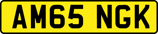 AM65NGK