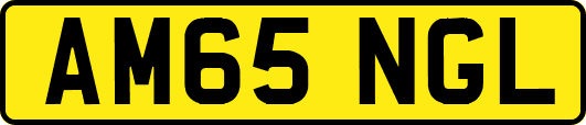 AM65NGL