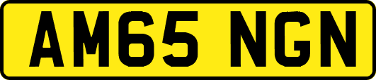 AM65NGN