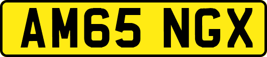 AM65NGX