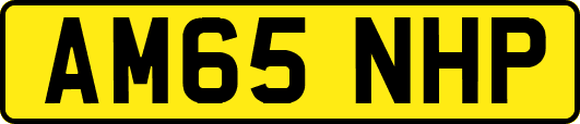AM65NHP