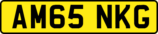 AM65NKG