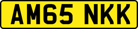 AM65NKK