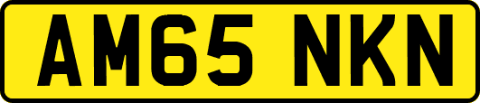 AM65NKN