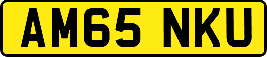 AM65NKU