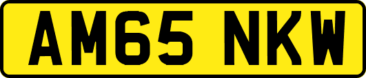 AM65NKW