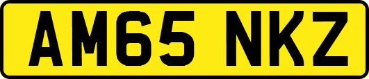 AM65NKZ
