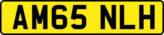 AM65NLH