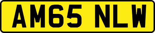 AM65NLW