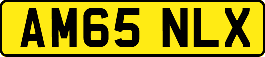 AM65NLX