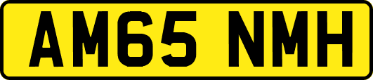 AM65NMH