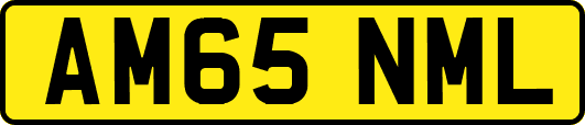 AM65NML