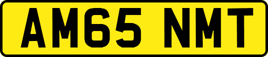 AM65NMT