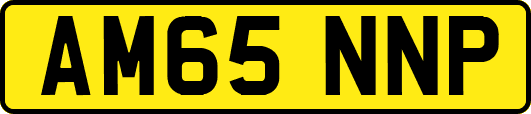 AM65NNP