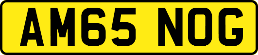 AM65NOG