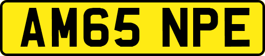 AM65NPE