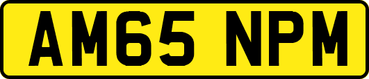 AM65NPM