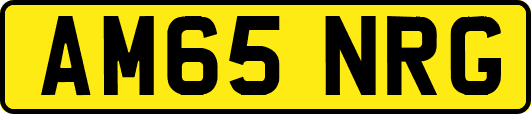 AM65NRG