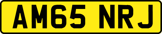 AM65NRJ