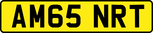 AM65NRT