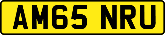 AM65NRU