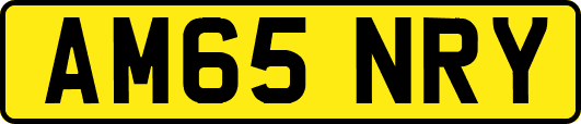 AM65NRY