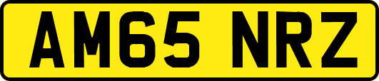 AM65NRZ