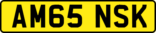 AM65NSK