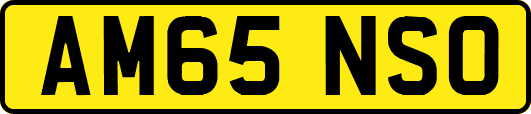 AM65NSO