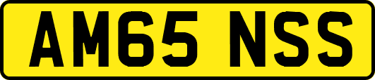 AM65NSS