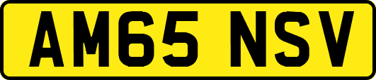 AM65NSV