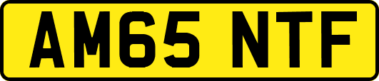 AM65NTF