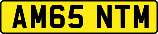 AM65NTM