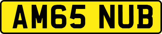 AM65NUB