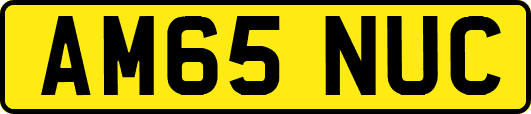 AM65NUC