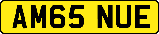 AM65NUE