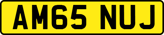 AM65NUJ