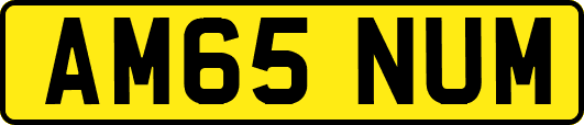 AM65NUM