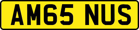 AM65NUS