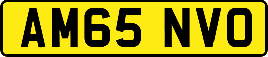 AM65NVO