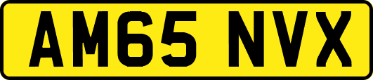 AM65NVX