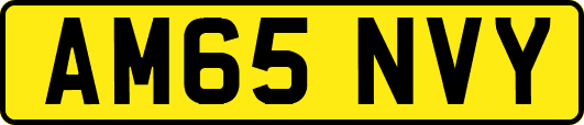 AM65NVY